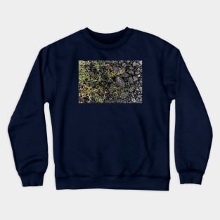 Green Grass Growing On Black Stones - Alternative Crewneck Sweatshirt